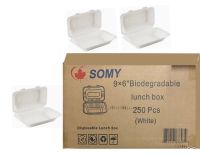 Biodegradable Food Container, size includ 9X6
